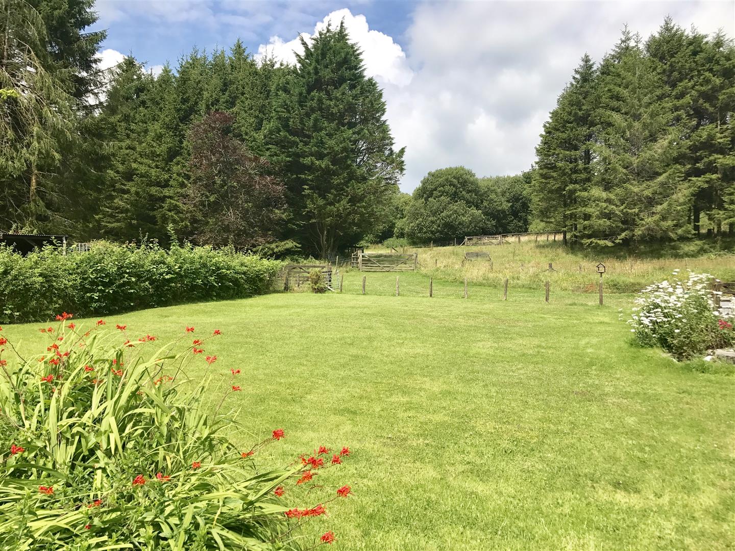 GROUNDS